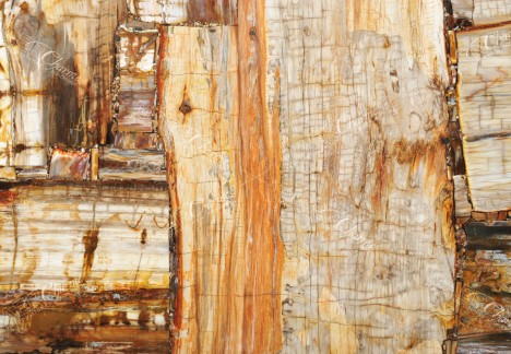 Petrified Wood Brown Retro - Detail