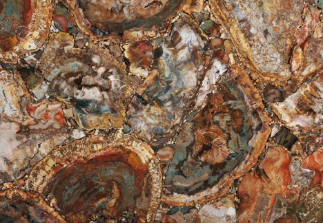 Petrified Wood Brown with Green - Detail