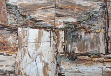 Petrified Wood Brown Beige Retro - Detail
