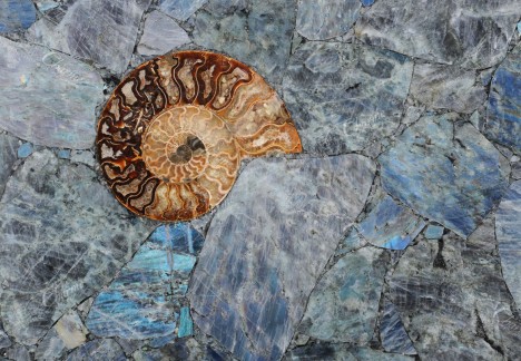 Labradorite With Ammonites - Detail