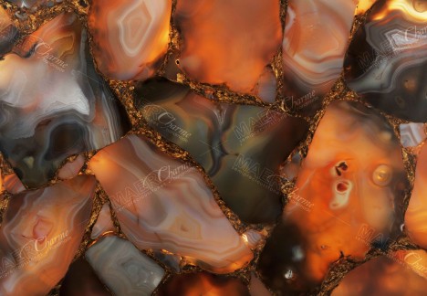 Agate Rubane With Gold - Detail Backlit