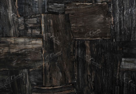 Petrified Wood Black Retro - Retro